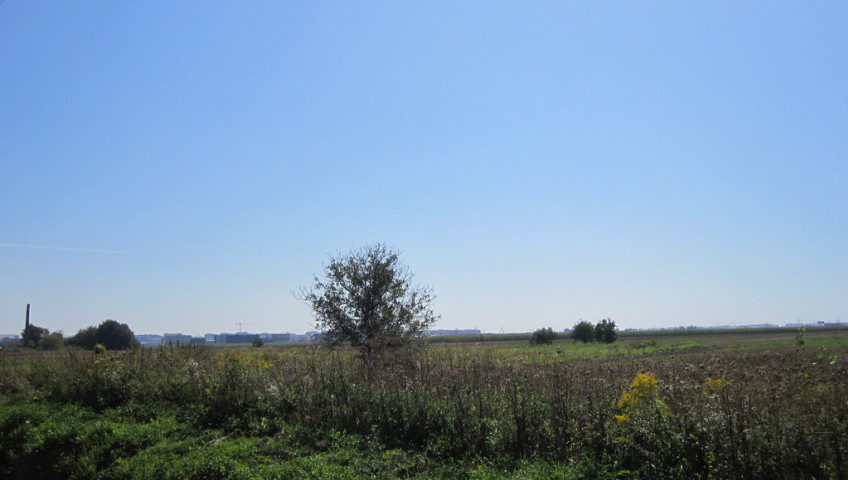 Działka Sprzedaż Lubiczów